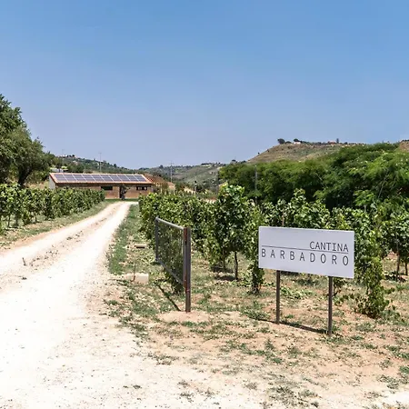Immerso Nel Vigneto 卡尔塔吉罗